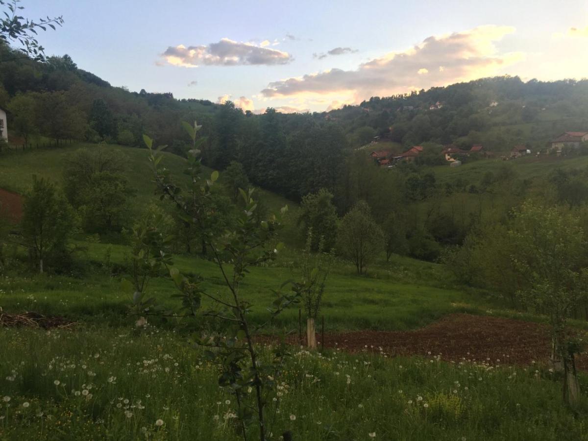 Dolores Tesanj Dış mekan fotoğraf