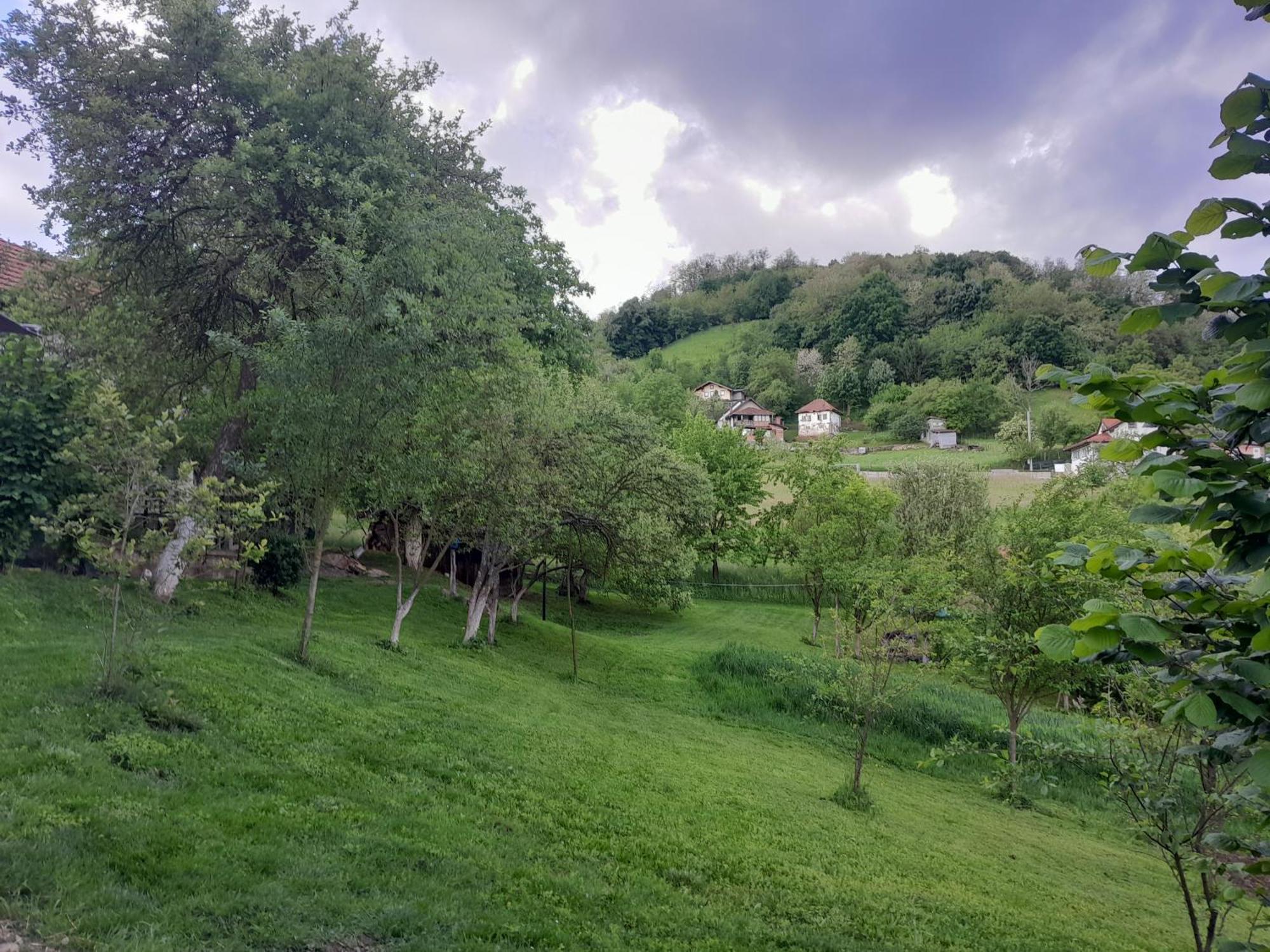 Dolores Tesanj Dış mekan fotoğraf