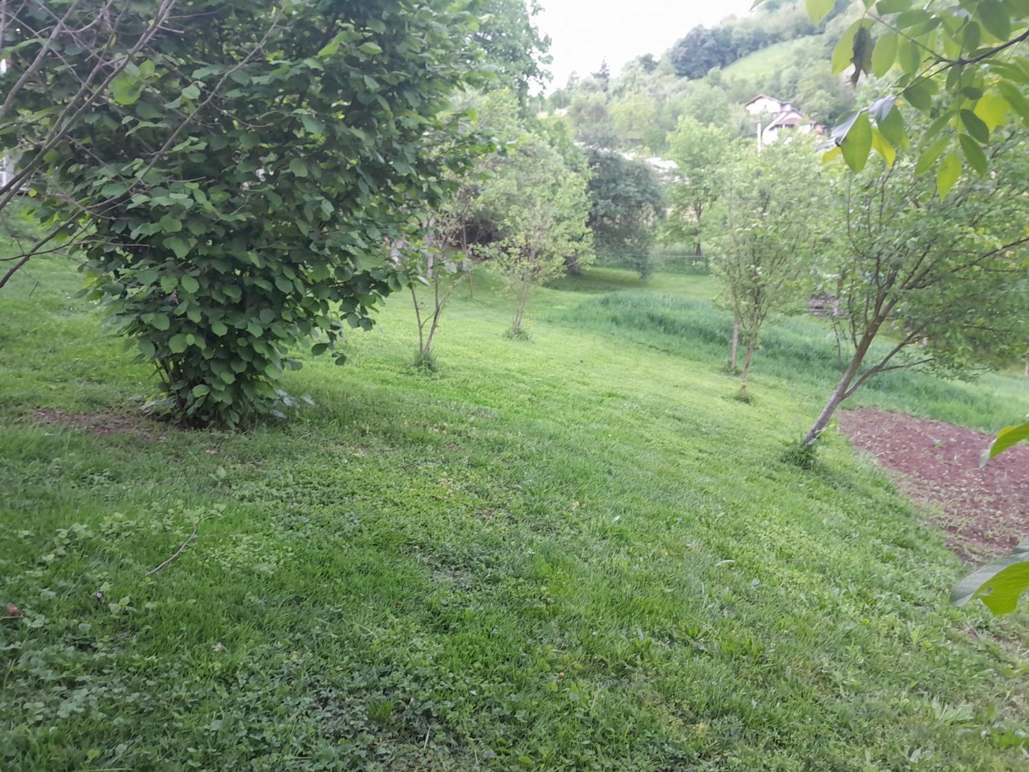 Dolores Tesanj Dış mekan fotoğraf